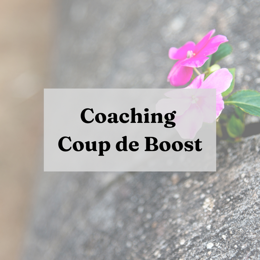 Coaching Coup de Boost